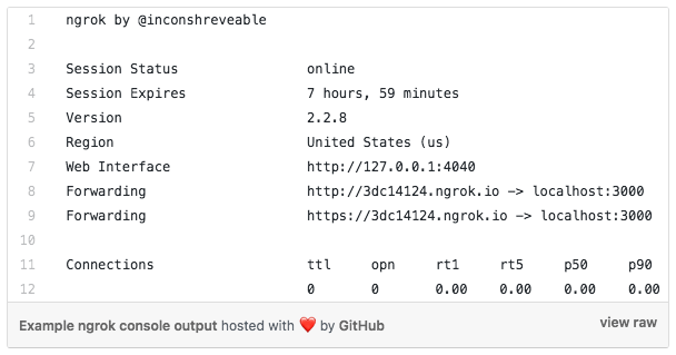 example ngrok console output