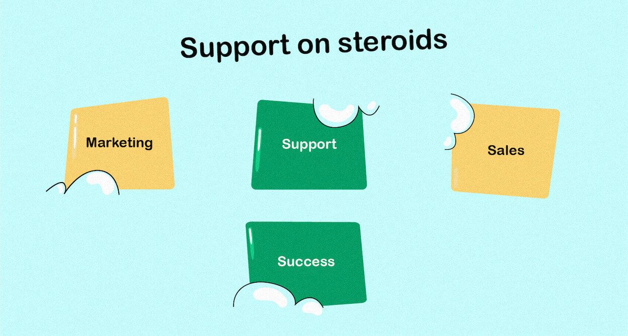 Customer success team as support on steroids